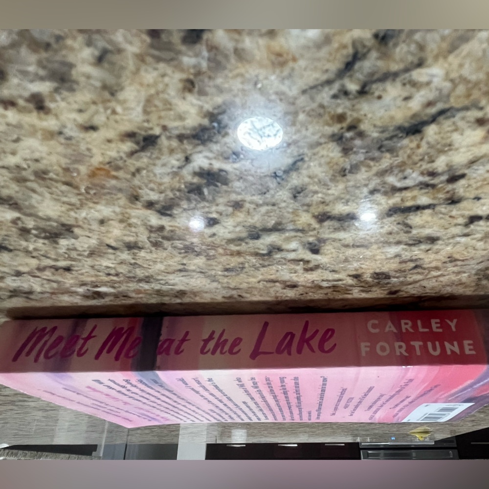 Meet Me at the Lake by Carley Fortune New York Best Selling Novel Paperback - Picture 5 of 7